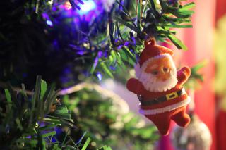 79. กิจกรรมวันคริสต์มาส โปรแกรมวิชาภาษาอังกฤษ "Christmas in wonderland"
