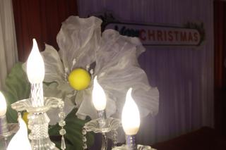 81. กิจกรรมวันคริสต์มาส โปรแกรมวิชาภาษาอังกฤษ "Christmas in wonderland"
