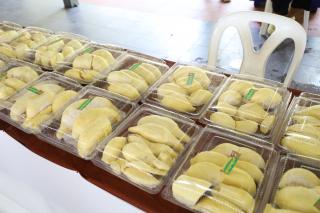 142. ประเพณีสงกรานต์ ครุศาสตร์ ประจำปี 2567