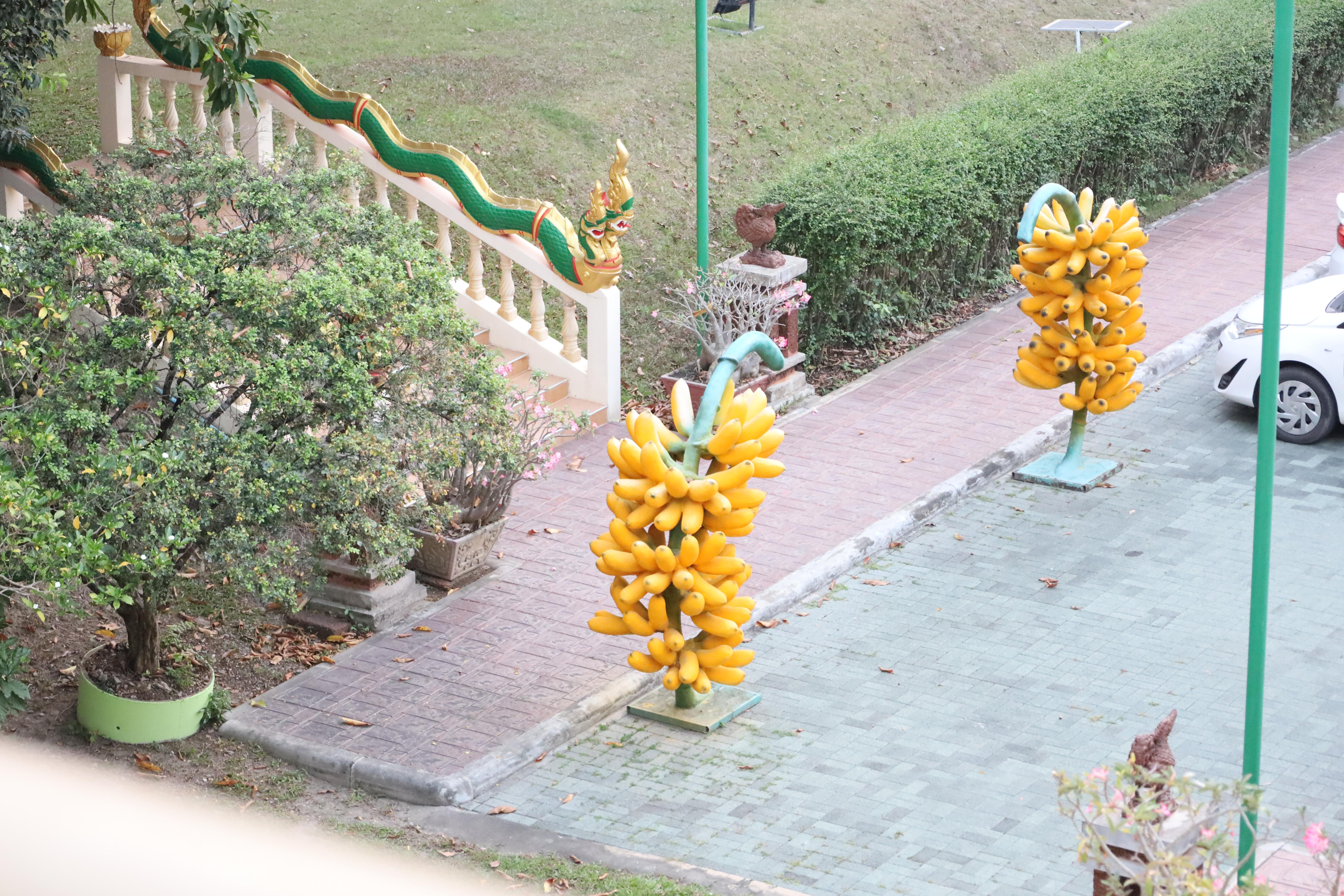 13. โครงการอบรมคุณธรรม จริยธรรม และจิตอาสา จิตสาธารณะ นักศึกษาหลักสูตรประกาศนียบัตรบัณฑิต สาขาวิชาชีพครู